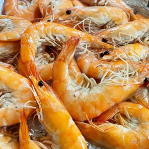 국내산 흰다리새우 활새우 500g 1kg 당일조업 횟감용 활새우회 생새우회