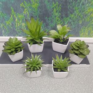 TEMU 1 세트 인공 초록 bonsai 식물, 플라스틱 파인애플 및 아가베 잎 식물, 모든 계절 봄 장식, 교실, 사진 촬영 용품, 파티 장식, 가정 및 사무실 책상 창문 실장, 회복, 세인트 패트릭의 날, 졸업, 지구의 날, 무하라만/이슬람 신년, 테이블탑 장식, 배터리 필요 없음, 용기 포함