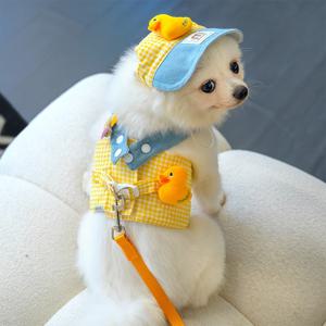 TEMU 고양이와 강아지용 봄/여름 오리와 개구리 세트 3피스 애완동물 가슴 하네스 및 리드