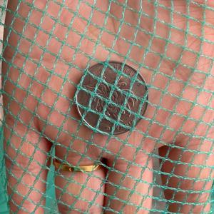 TEMU 강력한 나일론 다기능 보호망 - 정원, 농장 및 과수원용 동물 방지막, 식물 지지대, 날씨에 강한 메쉬 (계란통, 온실, 포도밭, 연못 보호), 유연한 펜스 네트, 내구성 있는 망, 장기간 사용 가능한 망, 온실 재배용
