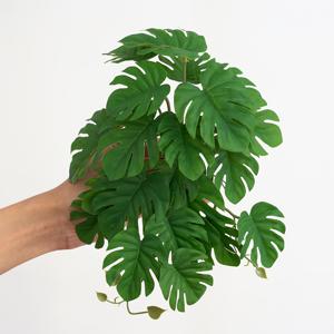 TEMU 1pc 인공 식물 몬스테라 포토스, 줄기와 함께 잎, 식물, 거실 호텔 창문 사무실 장식, 가정 장식, 방 장식, 수조 및 도마뱀 수조용 내구성 플라스틱 수중 장식 - 현실적인 물 식물 효과
