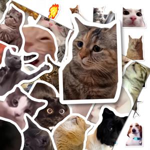 TEMU 101개 재미있는 고양이 밈 스티커 세트 보관함 포함, 배터리 필요 없음, 깃털 없는, 저널, 스크랩북킹, DIY 공예, 노트북, 휴대폰 케이스용