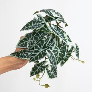TEMU 1pc 인공 식물 몬스테라 포토스, 줄기와 함께 잎, 식물, 거실 호텔 창문 사무실 장식, 가정 장식, 방 장식, 수조 및 도마뱀 수조용 내구성 플라스틱 수중 장식 - 현실적인 물 식물 효과