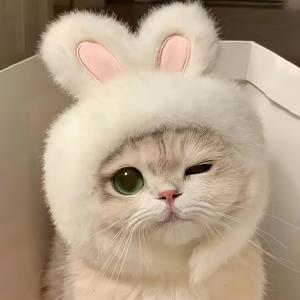 TEMU 1pc 귀여운 토끼 귀 고양이 모자 - 부드러운 니트 폴리에스터 애완동물 의상, 부활절, 역할 놀이 및 사진 촬영, 편안하고 기계 세탁 가능, 고양이 및 소형 개에 적합, 축제용 헤드기어 | 귀여운 의상 | 니트 질감