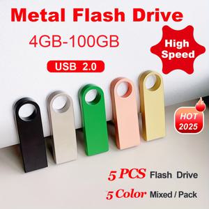 TEMU 5개 고속 USB 2.0 플래시 드라이브 - 4GB부터 100GB까지 메탈 메모리 스틱, 내구성 및 신뢰성이 뛰어난 데이터 저장용, 다양한 색상(블랙, 화이트, 그린, 베이지, 핑크)