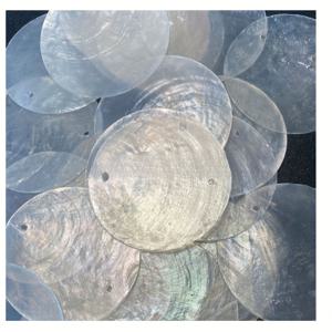 TEMU 100개 1.97인치 이중 구멍 쉘, DIY 만들기용, 바람종, 램프쉐이드, 문 커튼, 수공예품, 그림, 펜던트 장식 및 방 분할 등에 사용, 파티 장식용 쉘 마이카 슬라이스