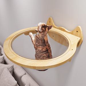 TEMU 고양이 벽 가구 세트, 투명 캡슐 고양이 벽 선반 고양이 침대, 수면, 놀이, 등반, 휴식을 위한 - 쉽게 35파운드까지 견딜 수 있습니다