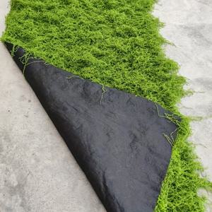 TEMU 0.5m x 1.5m 리얼리스틱 인조 이끼 카펫 - 합성 이끼 잔디, DIY 분재 조경용, 야외 정원 장식 및 테라리움 & 요정 정원용 - 저유지보수 실내/야외 그린 카펫, 식물용 이끼, 텍스처 표면, 부드러운 질감