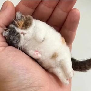 TEMU 매력적인 미니어처 고양이 펠팅 키트 - 초보자에게 이상적 | 시링, 네이들 패드, 펠트, 및 지침 포함 | 독특한 동물 주제 크래프트 세트 | 성인 및 크래프트 애호가를 위한 완벽한 크래프트 키트 | 재미있는 디자인 | 세부 지침, 고양이 펠팅 용품