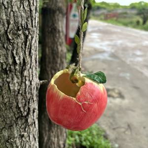 TEMU 1개 창의적인 사과 모양 새 먹이통 - 내구성 있는 레진 정원 장식, 걸이 고리가 달린 야외 나무 장식, 추수감사절, 부활절, 할로윈, 크리스마스용 재미있는 선물, 실내 및 실외 사용 가능, 축제 장식품, 녹슬지 않는 소재, 리얼리틱한 과일 디자인