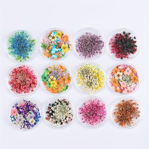 TEMU 컬러풀 네일 아트 건조 꽃 혼합 안개꽃 실물 꽃 박스형 네일 쥬얼리 DIY 네일 장식, 레이스 드라이 플라워 페탈 네일 액세서리, 여성용 DIY 수공예 및 비누 만들기용 네일 아트 용품