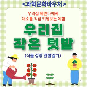 [대구] 우리집 작은 텃밭: 식물성장일기(~09/09)