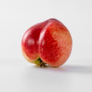 산지직송! 경북 경산 천도 복숭아/옐로드림 복숭아 1~4kg