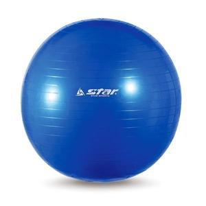 [기타]짐볼 55cm 블루 EB240-07 (WFFS32H)