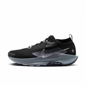[나이키][매장정품] 나이키 NIKE 페가수스 트레일 5 GORE-TEX FQ0908-001 760049