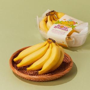 [필리핀산] 로즈 바나나 (400g내외)