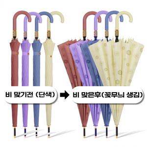 블라썸 16k 자동 장우산
