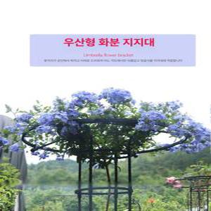 오벨리스크 장미아치 덩굴 정원 시렁 흰색 울타리