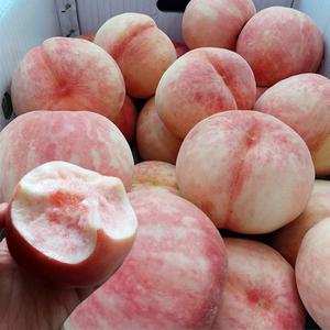 경북 딱딱이 백도 복숭아 4KG (20과 내외)