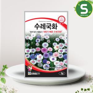 수레국화씨앗 2g 수레국화 꽃씨앗 꽃씨 야생화