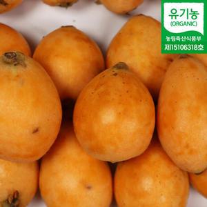 완도 신지도 비파열매 1kg 2kg 10kg 생과 완도비파 효소용 산지발송 유기농