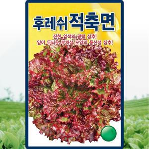 산들마켓 후레쉬적축면 상추 씨앗 3g 적축면 상추씨 쌈채소 종자