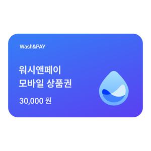 워시앤페이 3만원권