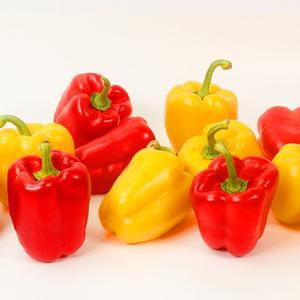 국내산 못난이 파프리카 초록 빨강 노랑 혼합 3kg