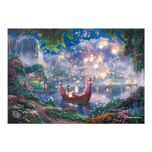 DIY 보석십자수 디즈니 킨케이드 라푼젤 캔버스형 40x50 (DT5012)