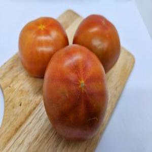 완숙 토마토1. 5kg