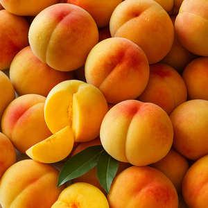 황도 복숭아 중과 2kg / 9-11과 내외 물복 털복숭아