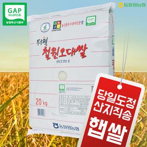 (2024년산/RPC) 동철원농협 오대쌀 철원오대쌀 20kg