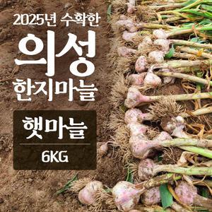 2025년산 의성마늘 햇마늘 6kg 마늘 농사 3대째