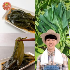 친환경 유기농 강원도 잎명이나물 명이잎 산마늘잎 잎명이
