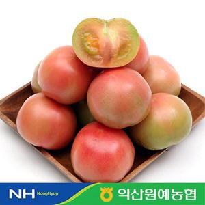 [한아름드린][농협]  찰토마토 2kg(특3번과)
