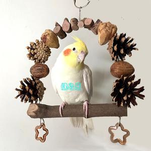 앵무새 씹는 장난감 앵무 새 스윙 22cm 25cm 대형