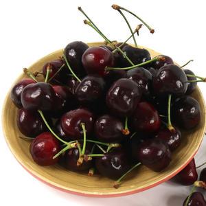 프리미엄 워싱턴 체리 5kg 10R / 아이스박스