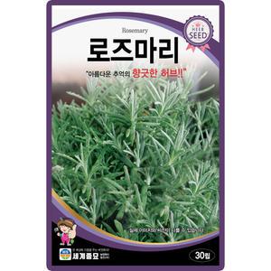 세계종묘 로즈마리 씨앗 30립 로즈마리씨 허브 종자