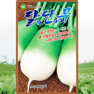 달단무 씨앗 무우 씨 종자 1000립
