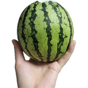 25년 햇 애플 수박 특품 1통, 2통