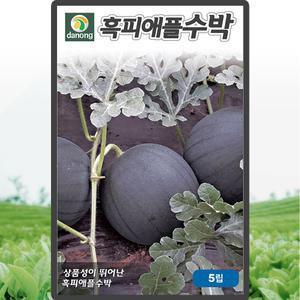 다농 흑피애플수박 씨앗 5립 흑피 애플수박씨 종자
