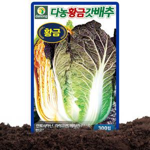 다농 황금갓배추 씨앗 300립 안토시아닌 가을김장배추씨 종자 김장배추