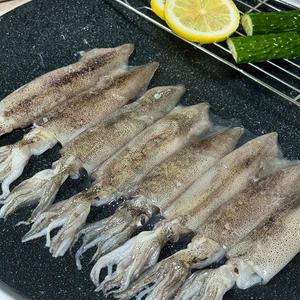 통찜용 물회 선동 생물 총알 한치 1kg(34미내외) 1팩