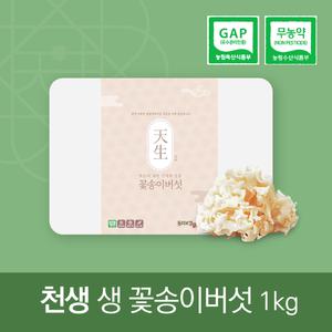 천생 생꽃송이버섯 1kg