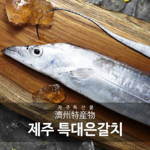 특大사이즈! 오늘 제주 특大갈치 300g X 5마리, 총 20토막