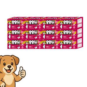 대량 요요쉬 암컷 강아지 기저귀 여아용 3단계 10매 12개 초소형 애견 기저귀
