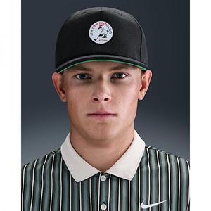 NIKE 나이키 프로 그래픽 캡 - 블랙/스타디움 그린/앤트러사이트/화이트 HV7015-010