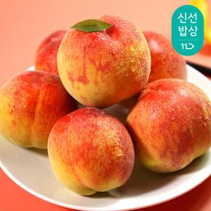 [품질보장] 해풍맞은 고흥 명품 복숭아 황도/백도 랜덤 1.25kg(7-8과)
