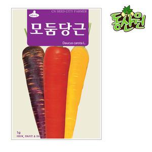 모둠당근씨앗 1g 자색 노랑 주황 모듬당근종자 채소씨앗 텃밭채소