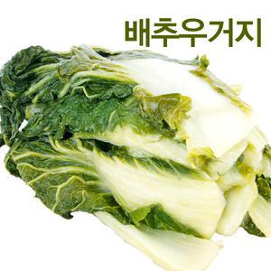 [건우농산] 국내산 배추 우거지1kgx5봉